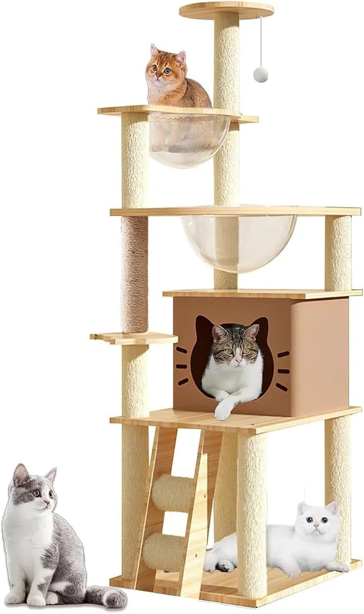 2 bowls · 1 house · multi-level platforms