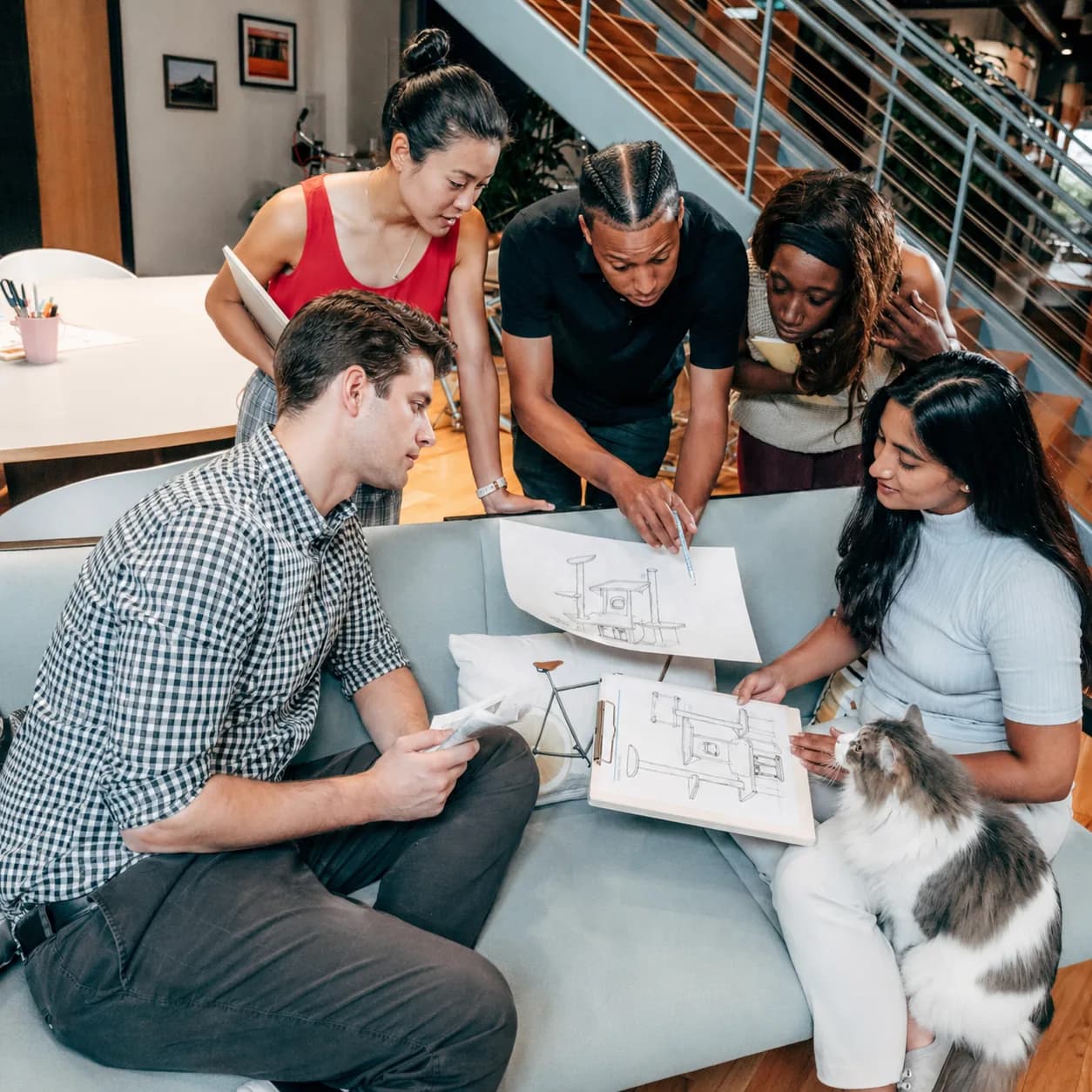 Mekidulu design and supply team reviewing cat tree prototypes