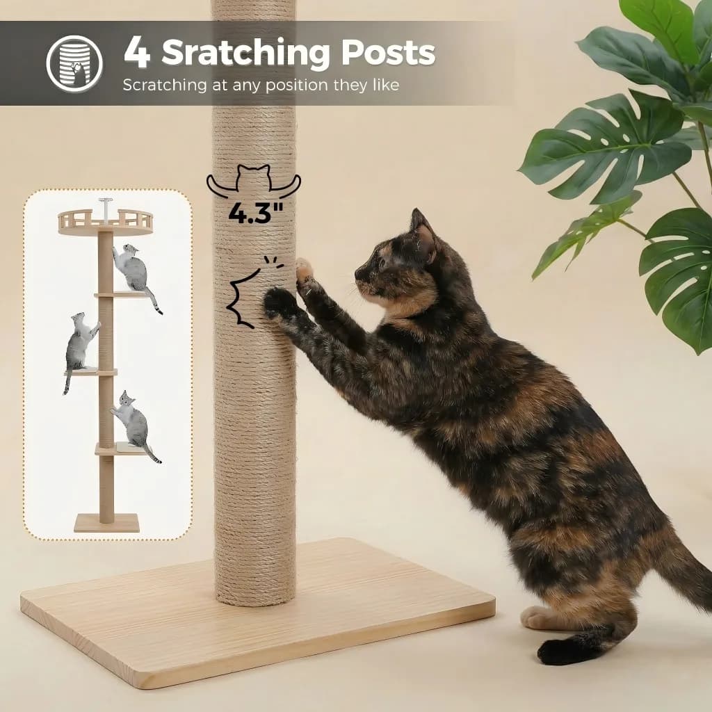 Why Professional Scratching Posts are the Guardians of Home Elegance