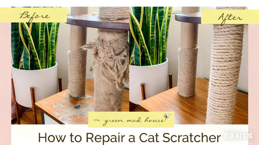 💥 Title (H1): Cat Tower Maintenance: 3 Signs Your Cat Tree is Failing & Your Monthly 5-Minute Safety Check