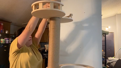 Adjustable Floor-to-Ceiling Cat Tree Tower w/ 4.3" Post & Hammock