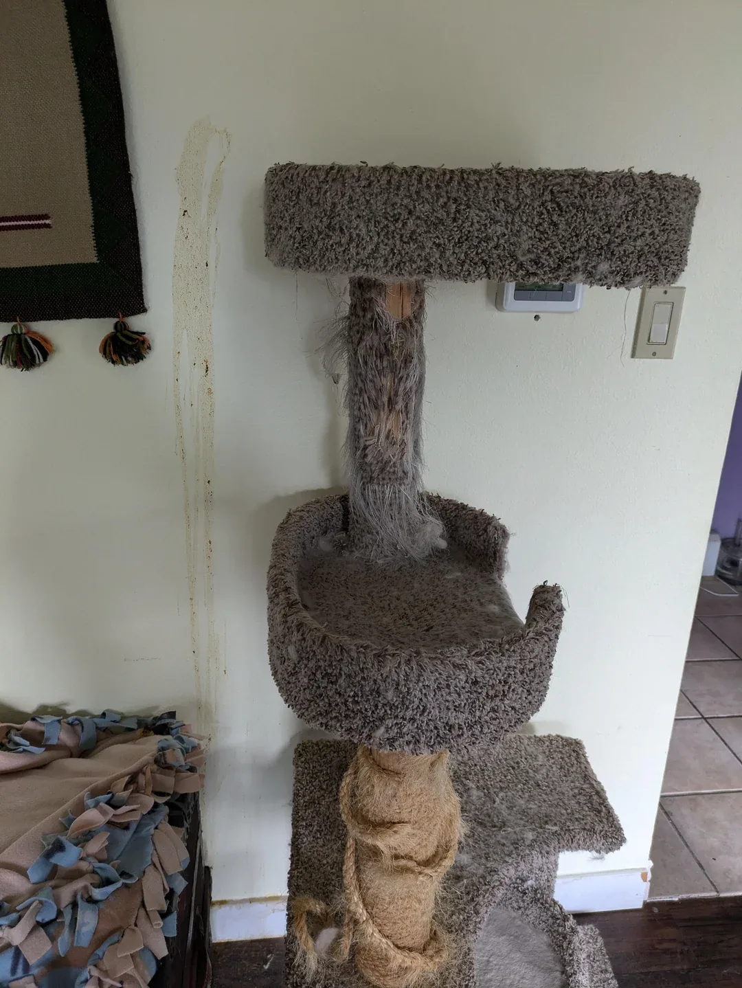 Destroyed sisal rope and shredded carpet